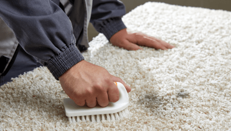Professional Rug Cleaning Korobeit